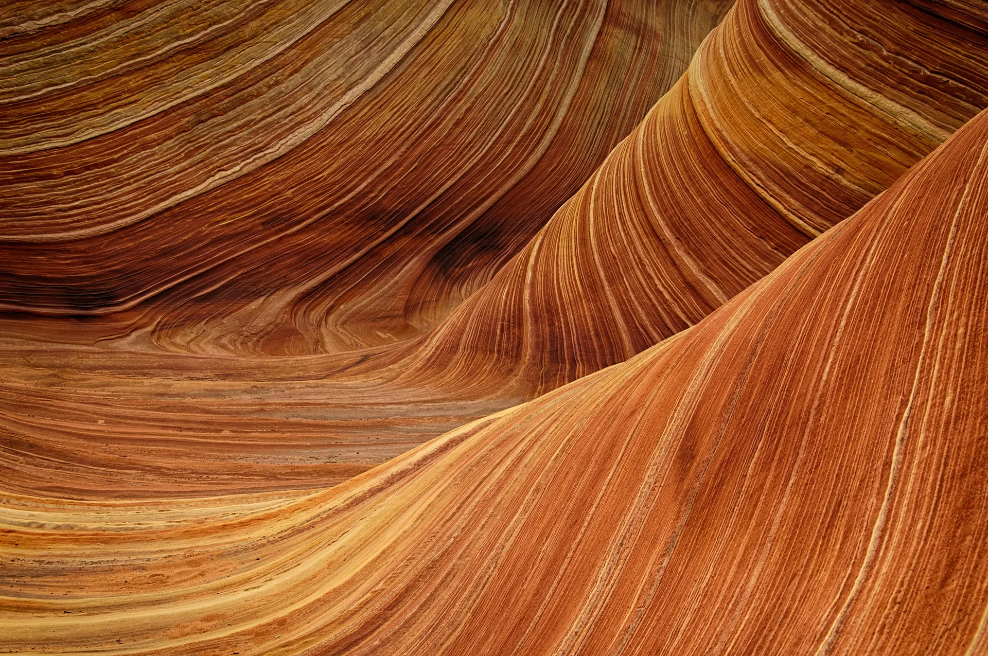 Smooth, wave-like sandstone formations in vivid orange and gold hues, showing natural curves and striations characteristic of Arizona's desert canyons.
