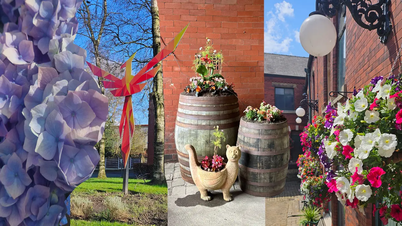 A collage featuring close-up blue hydrangeas, a colourful geometric phoenix sculpture in a courtyard, wooden barrels with flower arrangements, a cat-shaped planter, and vibrant hanging baskets of flowers against red brick buildings. The setting is bright and sunny, showcasing a lively, blooming atmosphere in a community space.